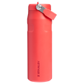 IceFlow™ Bottle Flip Straw 2.0 | 0.71L