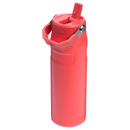 IceFlow™ Bottle Flip Straw 2.0 | 0.71L
