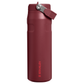 IceFlow™ Bottle Flip Straw 2.0 | 0.71L